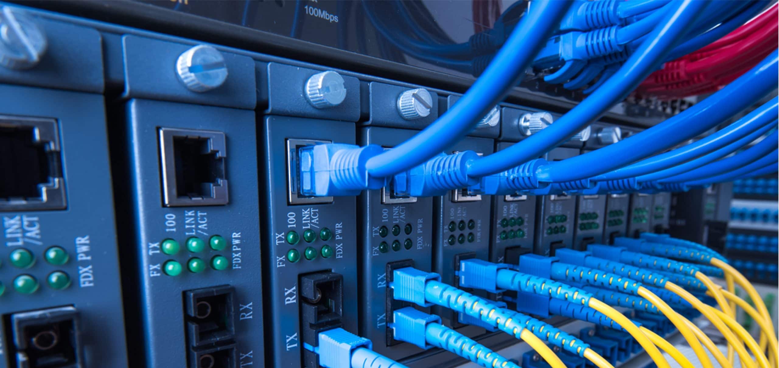 Numerous data cables connected to mainframe security device